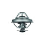 Behr Mahle Thermostat TX2888D + 2L G64 Glysantin Frostschutz für BMW 3er 5er
