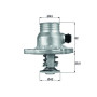 Behr Mahle Thermostat TM11105 + 2L G64 Glysantin Frostschutz für BMW 5er 7er