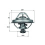 Behr Mahle Thermostat TX2888D + 2L G64 Glysantin Frostschutz für BMW 3er 5er