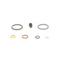 4x BOSCH PUMPE-DÜSE-DICHTSATZ INKL DEHNSCHRAUBEN REPSATZ für VW AUDI 1417010997