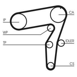 Orig Conti Rep Satz Zahnriemen inkl Conti Wapu CT968WP2 JTD für Alfa Lancia Fiat